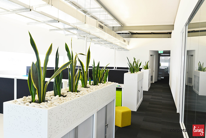 Kinspan_office_fitout_05