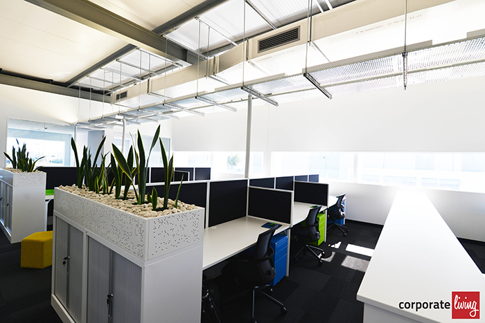 Kinspan_office_fitout_09